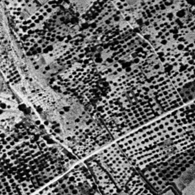 Vuelo americano de 1956: campos de almendros y caminos de tierra donde hoy hay edificios en Benidorm